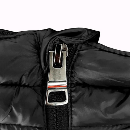 Quilted Jacket Set [BUY 1, GET 2]